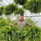 ⏰ Limited time offer ✨ Artificial Boston fern flower arrangement greenery plastic leaves