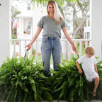 ⏰ Limited time offer ✨ Artificial Boston fern flower arrangement greenery plastic leaves