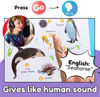 🔥LAST DAY 50%OFF🔥My First English Sound Toy | Toddler 1-6 Year Old