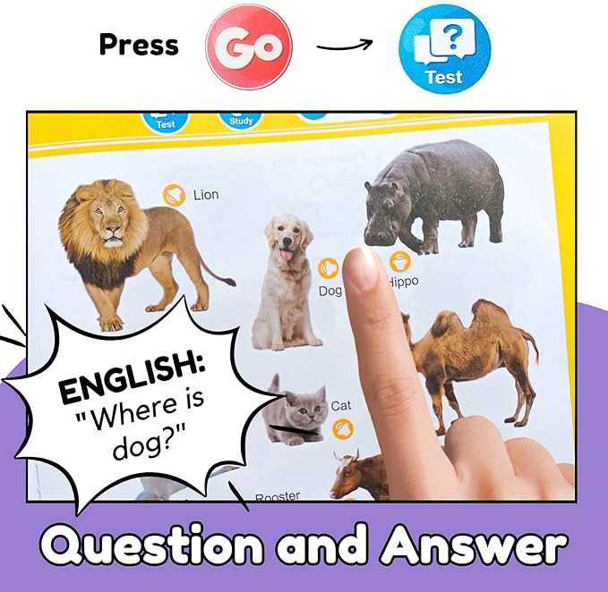 🔥LAST DAY 50%OFF🔥My First English Sound Toy | Toddler 1-6 Year Old