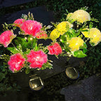 🌸 Today's Specials ☀️ Solar-Powered Laura Carnation Light