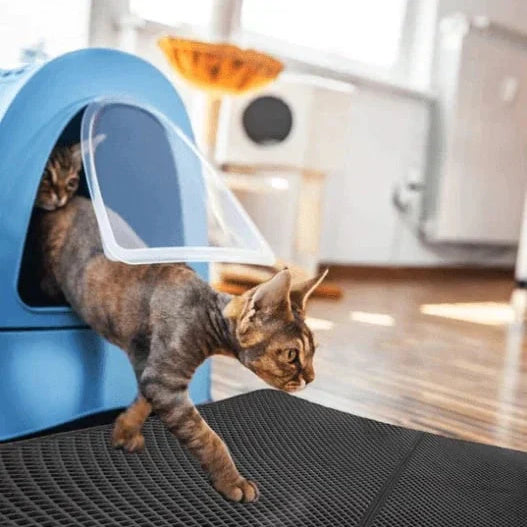 🎅Christmas Season Gift Idea 🎁 Non-Slip Cat Litter Mat 🐱