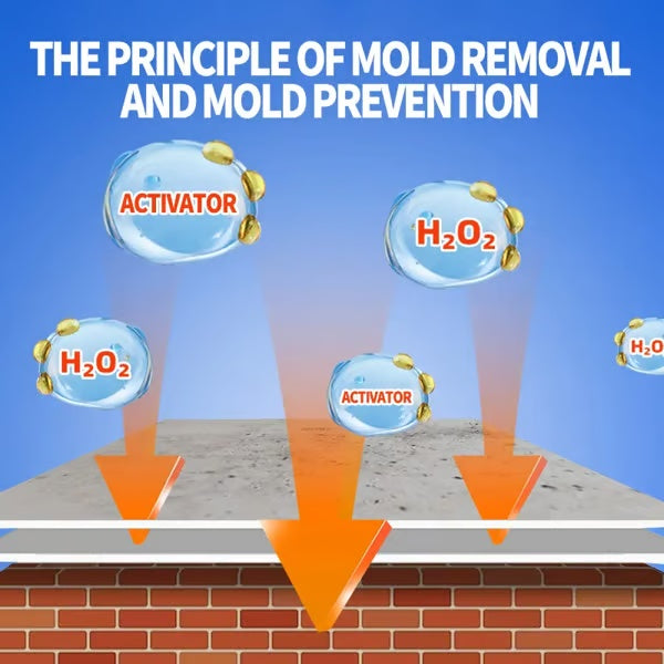 💥 Hot Sale 💥 Prevents Mould Regrowth